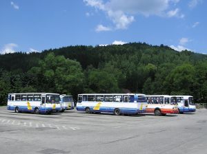 1118069_bus_stop.jpg