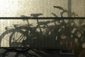 bike 2.jpg