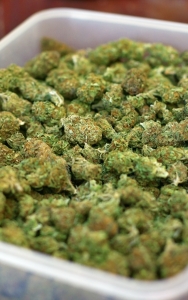 tray-of-marijuana-1437843-m.jpg